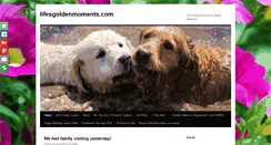 Desktop Screenshot of lifesgoldenmoments.com